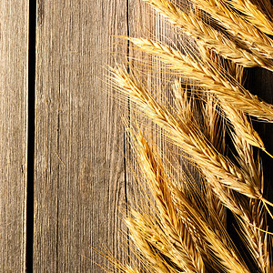 木本底的Rye 小麦收成黄色棕色面包木板谷物种子乡村木头小穗图片