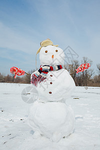 真正的大雪人蓝色天空快乐眼睛围巾引擎盖晴天按钮幸福寒意帽子微笑图片