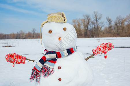 真正的大雪人蓝色天空雕塑按钮眼睛寒意手工男人活动雪人围巾乐趣图片