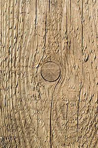 木木纹理宏观条纹乡村地面材料控制板橡木硬木颗粒状松树图片