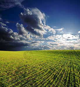 深蓝天空下有绿草的田野天气天空国家生长植物季节农村牧场蓝色草地图片