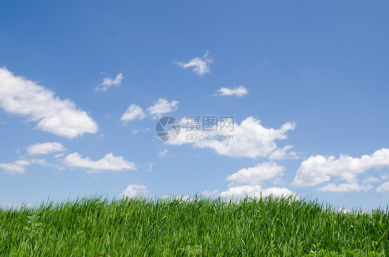 云层下绿草公园天堂野生动物宏观生态远景阳光场地生物环境图片