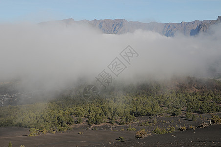 在白云上空岩石森林环境云杉天空山脉边界顶峰松树庇护所图片