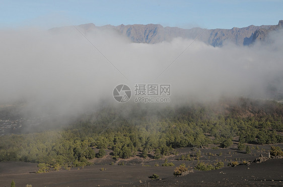 在白云上空岩石森林环境云杉天空山脉边界顶峰松树庇护所图片