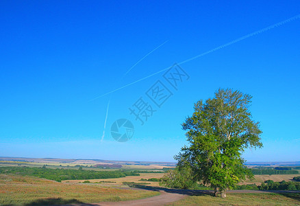 美丽的夏季风景土地草地树叶农业场地阳光蓝色天空城市环境图片