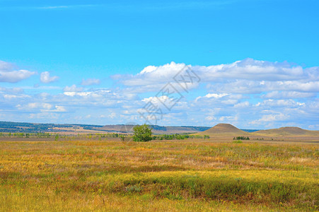 美丽的夏季风景季节草地蓝色绿色环境植物场地黄色全景阳光图片