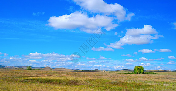 美丽的夏季风景植物场景叶子农场乡村农业土地牧场丘陵环境图片