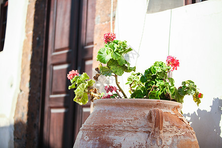 桑托里尼村入口附近的院子里陶瓷花瓶图片