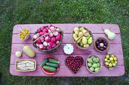 花园中的红木桌 有水果和蔬菜背景图片