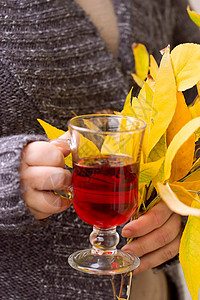 手握茶叶和秋叶的女子木槿树叶季节围巾棕色季节性红色毛衣女士杯子图片