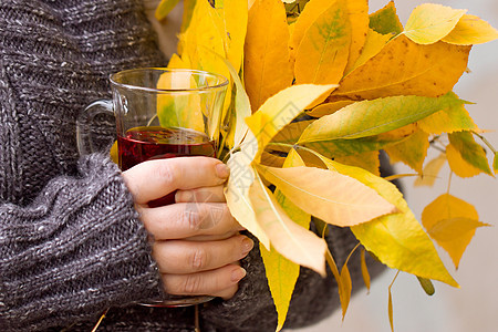 手握茶叶和秋叶的女子棕色女士季节性杯子黄色木槿树叶毛衣眼镜红色图片