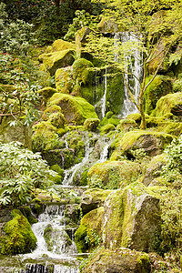 连累瀑布清凉风景生态叶子绿化花园溪流爬坡阳光巨石图片
