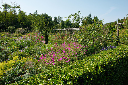 具有吸引力的英式英语风格正规花园美化场景公园院子叶子衬套植物群植物季节植物学图片