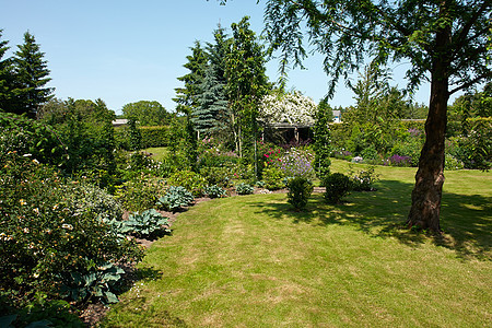 具有吸引力的英式英语风格正规花园美化季节叶子植物学闲暇园艺花坛生长旅行环境图片
