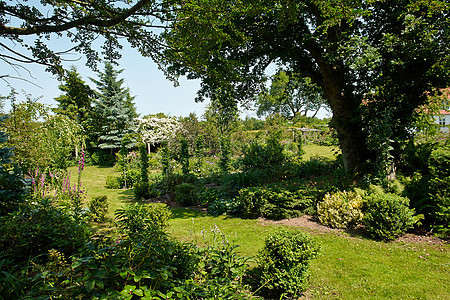 具有吸引力的英式英语风格正规花园美化叶子草地植物衬套院子闲暇植物学花坛生长图片