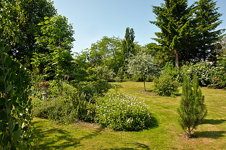具有吸引力的英式英语风格正规花园季节草地园艺公园植物学场景闲暇植物群植物美化图片
