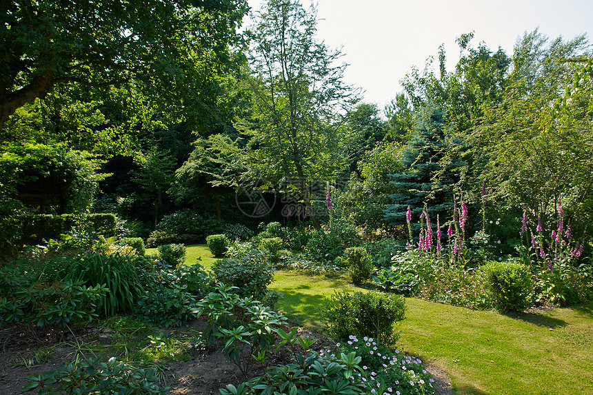 具有吸引力的英式英语风格正规花园花坛闲暇生长院子草地园艺叶子植物群季节场景图片
