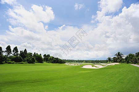 高尔夫课程高尔夫球季节风光运动场风景美丽植物阳光天空草地图片