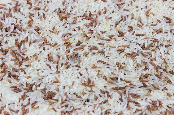 红米饭和白米饭图片