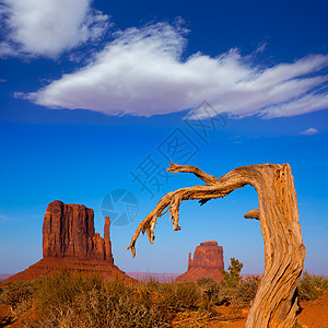 纪念碑西谷和东米唐 Butte Utah干旱地平线峡谷石头地标岩石手套旅行橙子蓝色图片