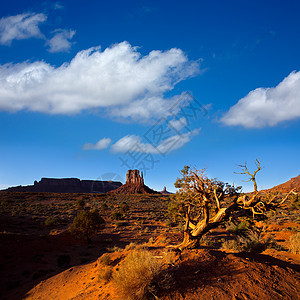 西米滕 Butte Utah公园地质学旅游纪念碑国家旅行干旱地平线橙子石头蓝色图片