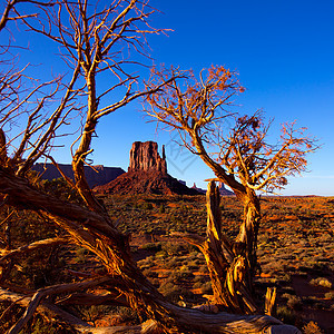 西米滕 Butte Utah公园砂岩石头沙漠橙子旅游旅行岩石地平线国家手套图片