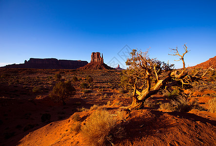 西米滕 Butte Utah公园峡谷岩石纪念碑国家石头地标干旱旅游地质学蓝色图片