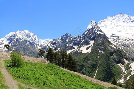 高加索绿色山脉爬坡高度悬崖森林首脑绿色木头风景顶峰叶子图片