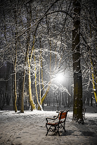 公园里的红色长凳小路旅行场景孤独天气木头灯笼暴风雪冻结降雪图片