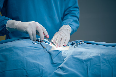 外科外科切开病人胃部医生磨砂膏切口手术台手套手术手术室健康剪刀制服图片