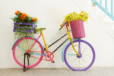 自行车塑料生活方式花束设备粉色踏板楼梯运输物体内饰图片