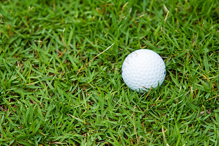 绿色草地上的高尔夫球草皮球座推杆运动场地球道宏观白色游戏图片