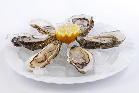含柠檬的牡蛎宏观饮食壳类食物贝类海鲜盘子午餐营养奢华图片