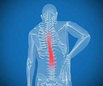 透明数字骨架背部痛得要命图片