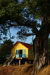 在古树下 有房顶蓝天高跷国家晴天族裔黄色绿色农村老树旅行图片