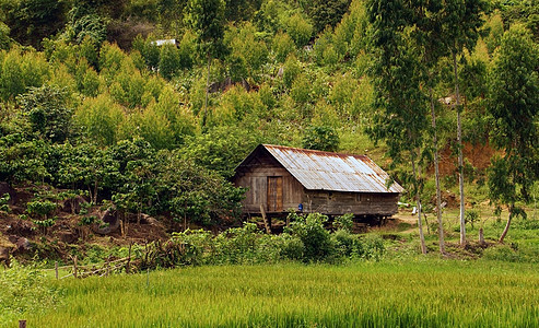 在自然场景中 孤独的地处空荡荡荡的小屋传统高地少数民族乡土农村柱子国家航道日光木板图片