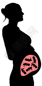 样板六胞胎子宫婴儿怀孕女孩插图胎儿背景图片