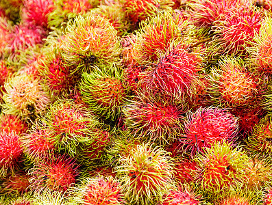 红布丁收成热带红色水果市场图片