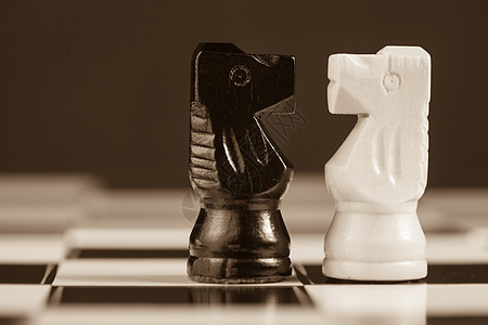 两个象棋骑士相对面图片