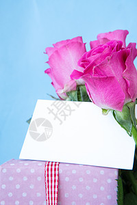 花瓶中的粉红玫瑰花束和粉红礼物及空白卡绿色花瓣礼品盒子圆点红色树叶粉色叶子展示图片