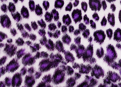 紫色印刷纸豹紫红色荒野纺织品动物打印紫豹背景粉色毛皮豹纹图片
