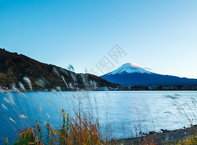 富士山和湖枫树杂草花园红假植物红树草原芦苇火山公吨图片