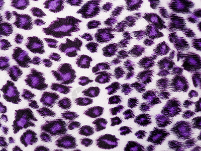 紫色印刷纸豹背景粉色紫豹毛皮打印荒野动物紫红色纺织品豹纹图片