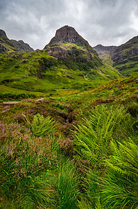 Glen Coe山景色与绿绿前景 苏格兰图片