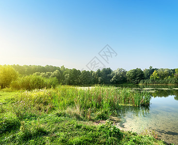 无声河生长太阳季节风光反射色彩天空阳光溪流池塘图片