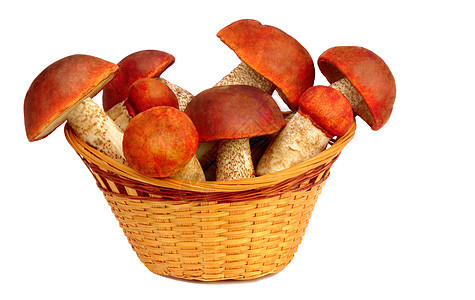 白色背景的针筒篮子里的蘑菇烹饪生长柳条产品森林娱乐季节餐饮远足食物图片