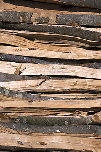 被粉碎的木柴坑森林温暖国家木材松树活力树干能量环境植物图片