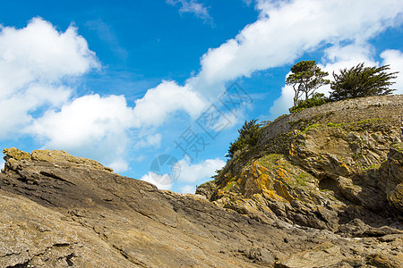 悬崖上有松树的景观公园盐点环境游客海景自然旅游海岸编队岩石图片