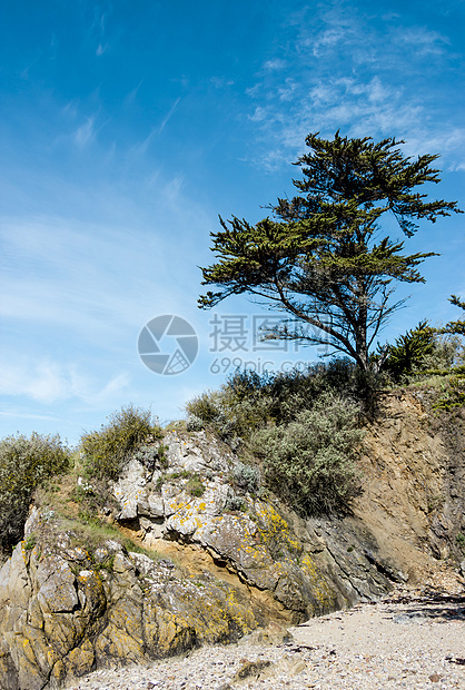 悬崖上有松树的景观地质学自然海景旅游砂石游客编队植物公园海洋图片