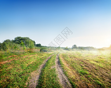 路上有雾树木牧场天空田园日落季节蓝色背景阳光风光图片